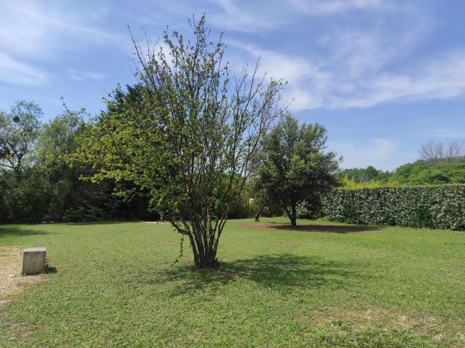 Villas De La Ferme Du Gros Noyer Malaucène Esterno foto